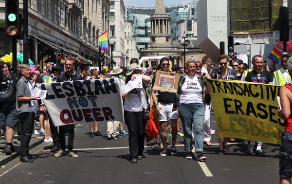 the-women-who-stand-las-lesbianas-feministas-radicales-de-reino